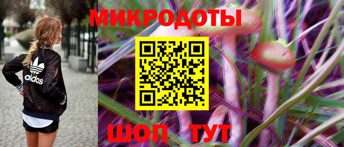 Галлюциногенные грибы прущие грибы Кировск