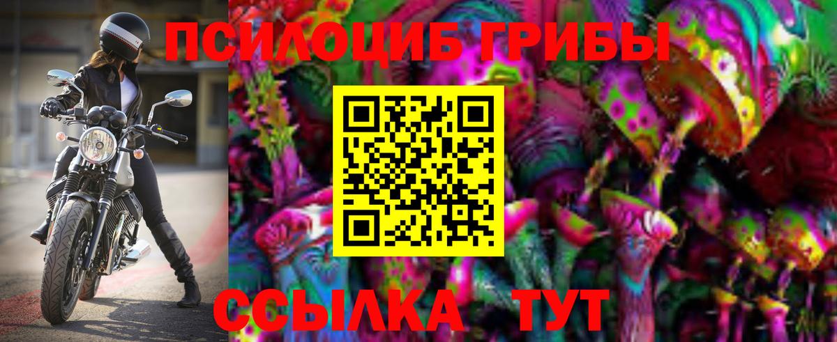 Галлюциногенные грибы Psilocybe  даркнет сайт  Галлюциногенные грибы мицелий  Кировск  Вход с VPN 